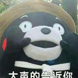灰太狼鸭头像
