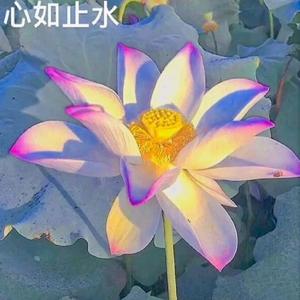 用户6108397237992头像
