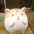 徐金金xjj头像