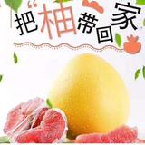丫丫。。。头像