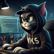 VksFeng的个人资料头像