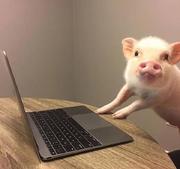 Luy6610的个人资料头像