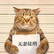 清风月的个人资料头像