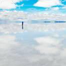 随机漫步的个人资料头像