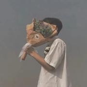 叁川故里的个人资料头像
