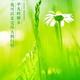 上善若水72147头像