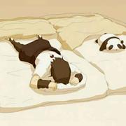 微笑795的个人资料头像