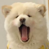 你的糖真甜头像