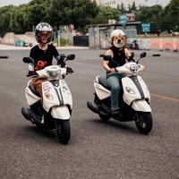 自由小红花14p头像