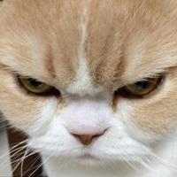 小诗怼奇葩头像