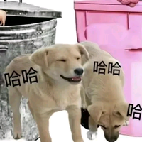 mvwbwbshbsj头像