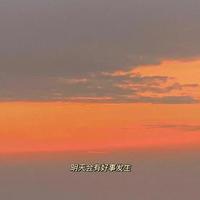 偏执8491头像