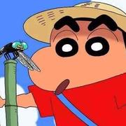 庸人851的个人资料头像