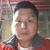 无悔似今生头像
