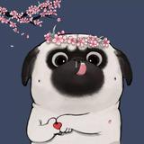 Muxy25头像