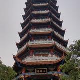 圝裤里难圝头像