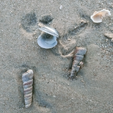 62851463337fbbml头像