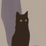 张宇就是我81320的个人资料头像