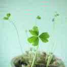 undefined的个人资料头像