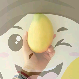 桂盈四季百色芒果批发中心头像