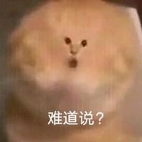 鱼肉芋泥卷头像