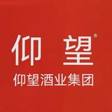 仰望酒业集团头像