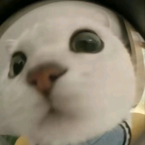 老同学（离千粉还差六百）头像