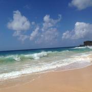 Shirley949的个人资料头像