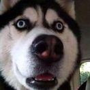 Ray爱学习67027的个人资料头像