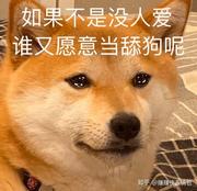 热爱学习且励志成为前端大神的小昆昆的个人资料头像