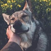 爱yu诚的个人资料头像