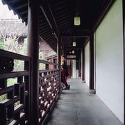 何丢丢的个人资料头像