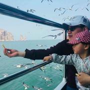 安宇Way的个人资料头像