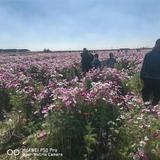 雁南金属表面处理头像