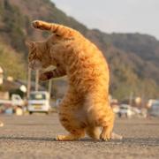 YuiYkz的个人资料头像