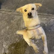 来杯冰橙汁的个人资料头像