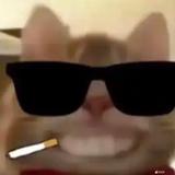 烂好人陈平安头像