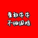 牛牛搬影头像