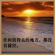 ZERO零24302的个人资料头像