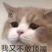 iMazing的个人资料头像