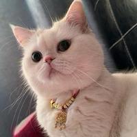 用户2130737434881头像