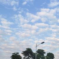 其乐融融富锦1v头像