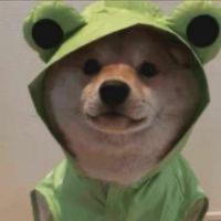 苏昂841头像