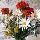 小刘酱的个人资料头像