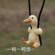 鸭鸭不在乎T_T的个人资料头像