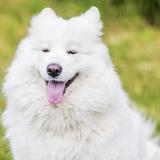 用户1661372834067头像