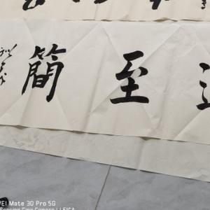 缤纷百灵鸟wVM头像
