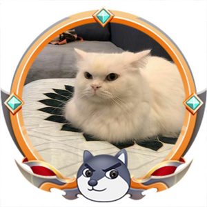 游戏解说小白猫