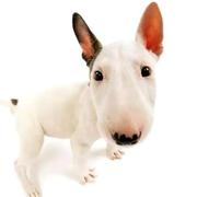 十里八乡的俊后生0的个人资料头像