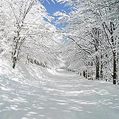 朔雪vlog头像